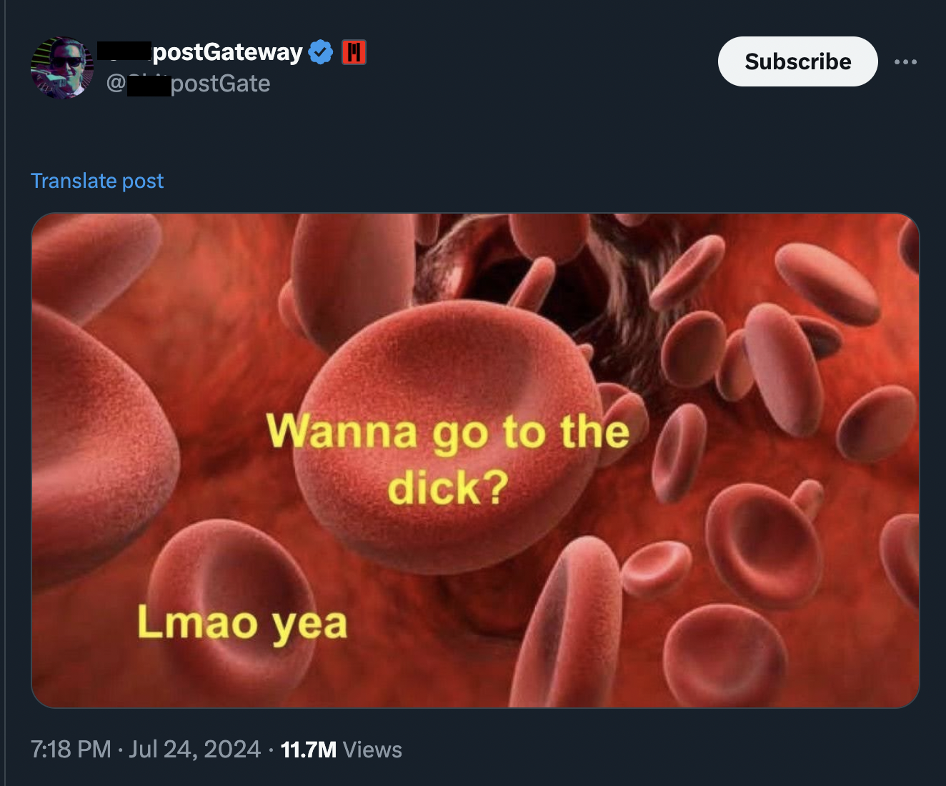 blood cells in the morning meme - postGateway postGate Translate post Wanna go to the dick? Lmao yea 11.7M Views Subscribe